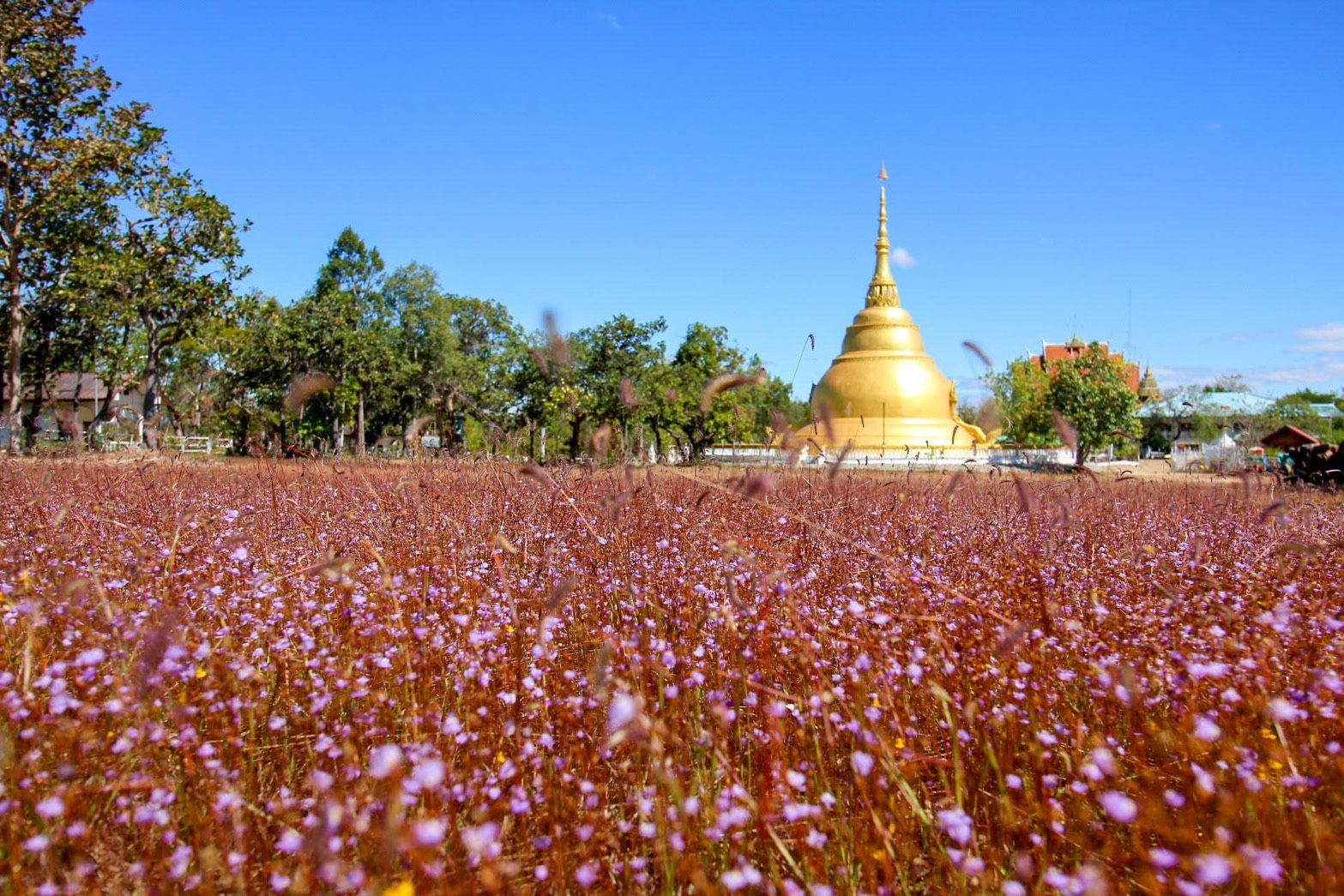 บรรยากาศวัดสวนหินผานางคอย
